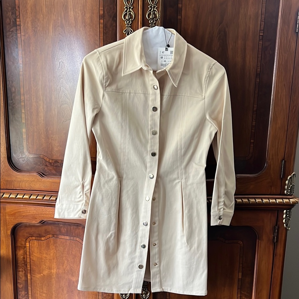 Zara Cream Button-Up Mini Dress